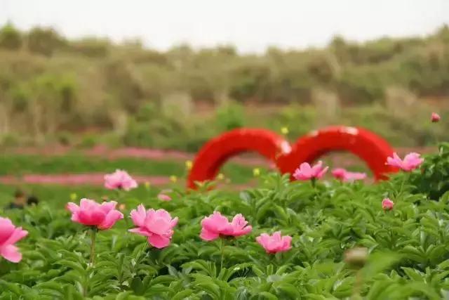 金堂县创建旅游城市,打造天府旅游县