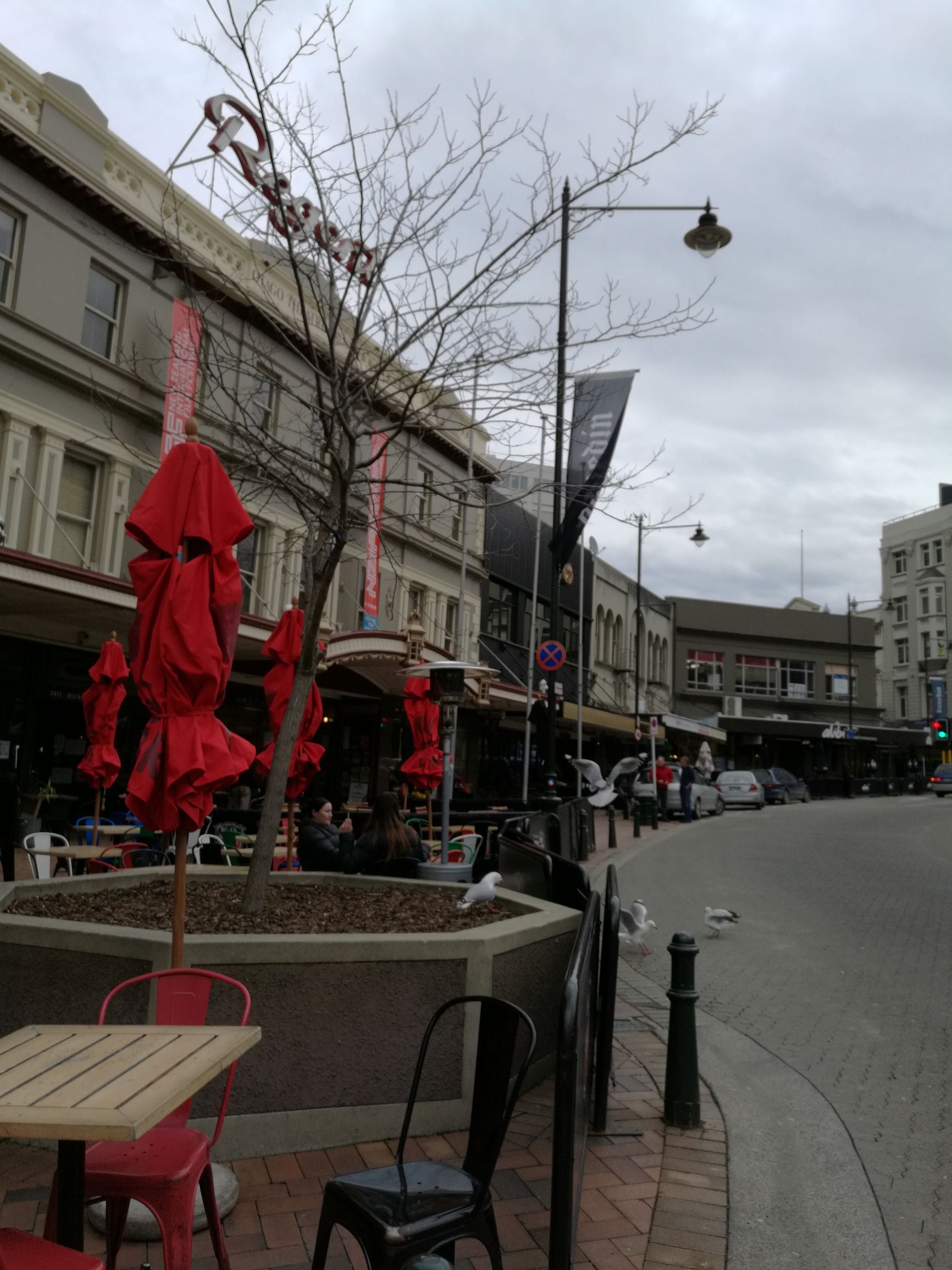 新西兰但尼丁城市介绍,新西兰哪个城市比较宜居