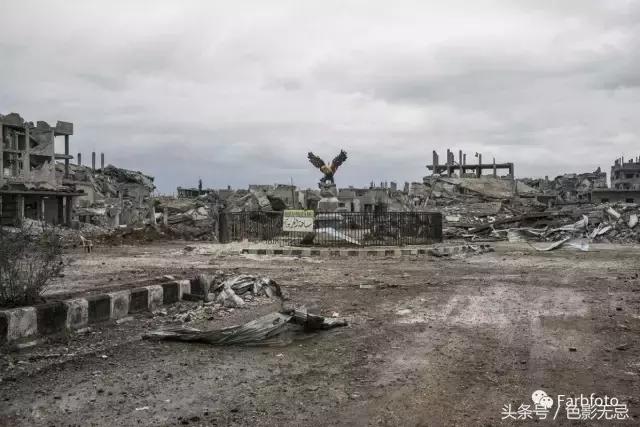 众望所归夺冠视频,众望所归的冠军视频