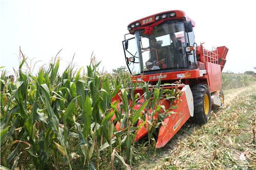 玉米收获机有哪些问题,玉米收获机哪款最好