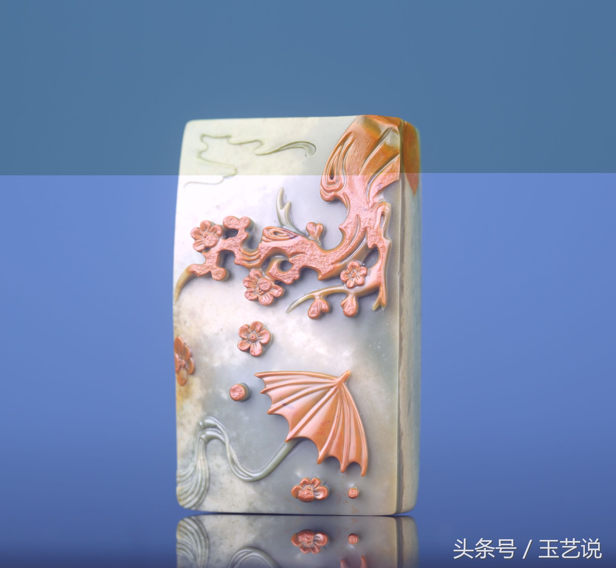 你不知道的中国原产地,你不知道的耀州区