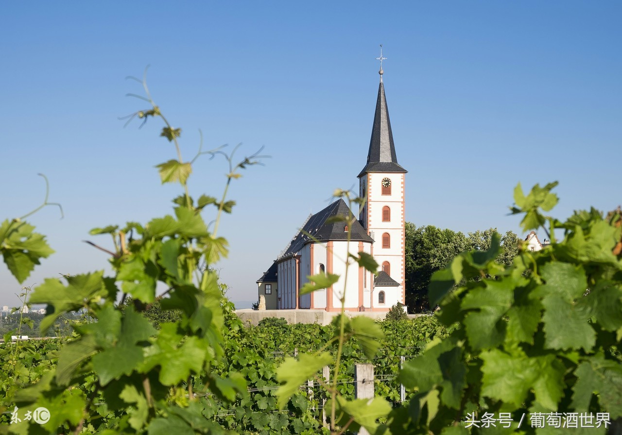 柏图斯酒庄名品介绍,柏图斯petrus