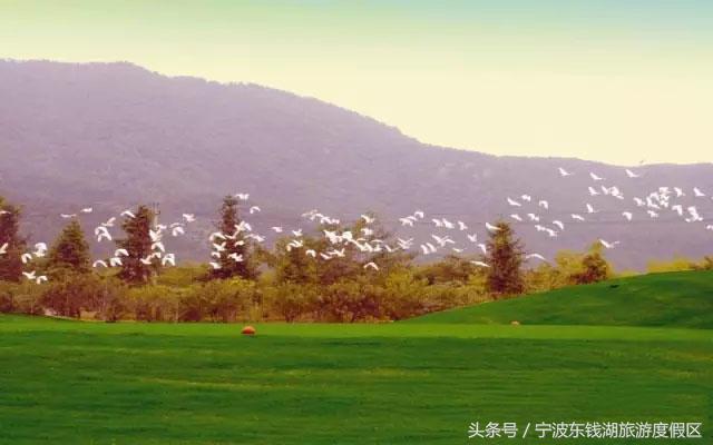 学高尔夫专业怎么样,学高尔夫简单吗