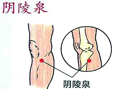 夏天湿气重多吃这几种蔬菜,立秋后吃什么排湿最快