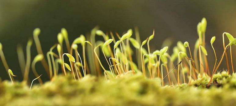 显示器标准色温,显示器的色温到底应该是多少