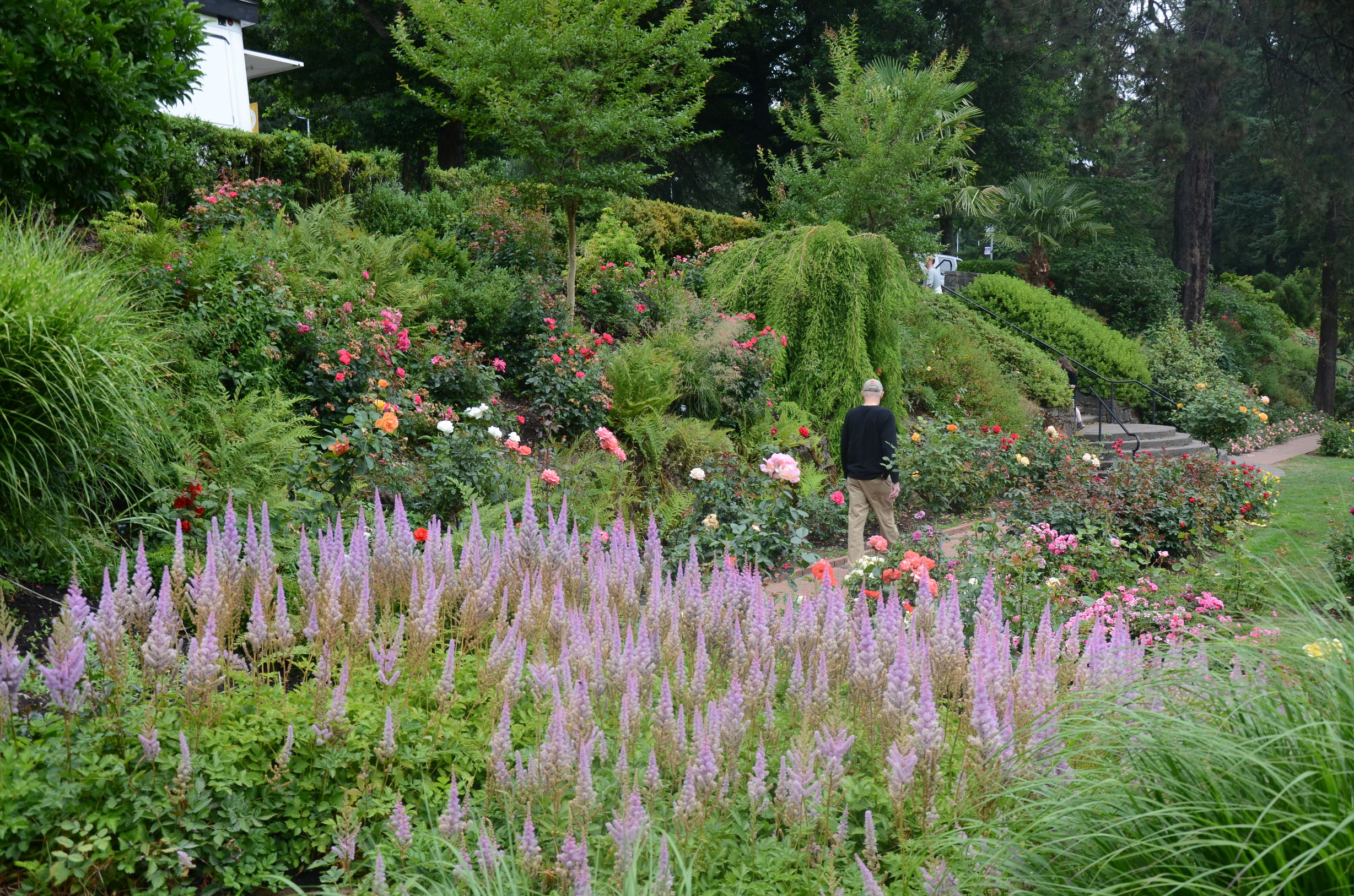 足球小将青少年篇21,足球小将足球小知识