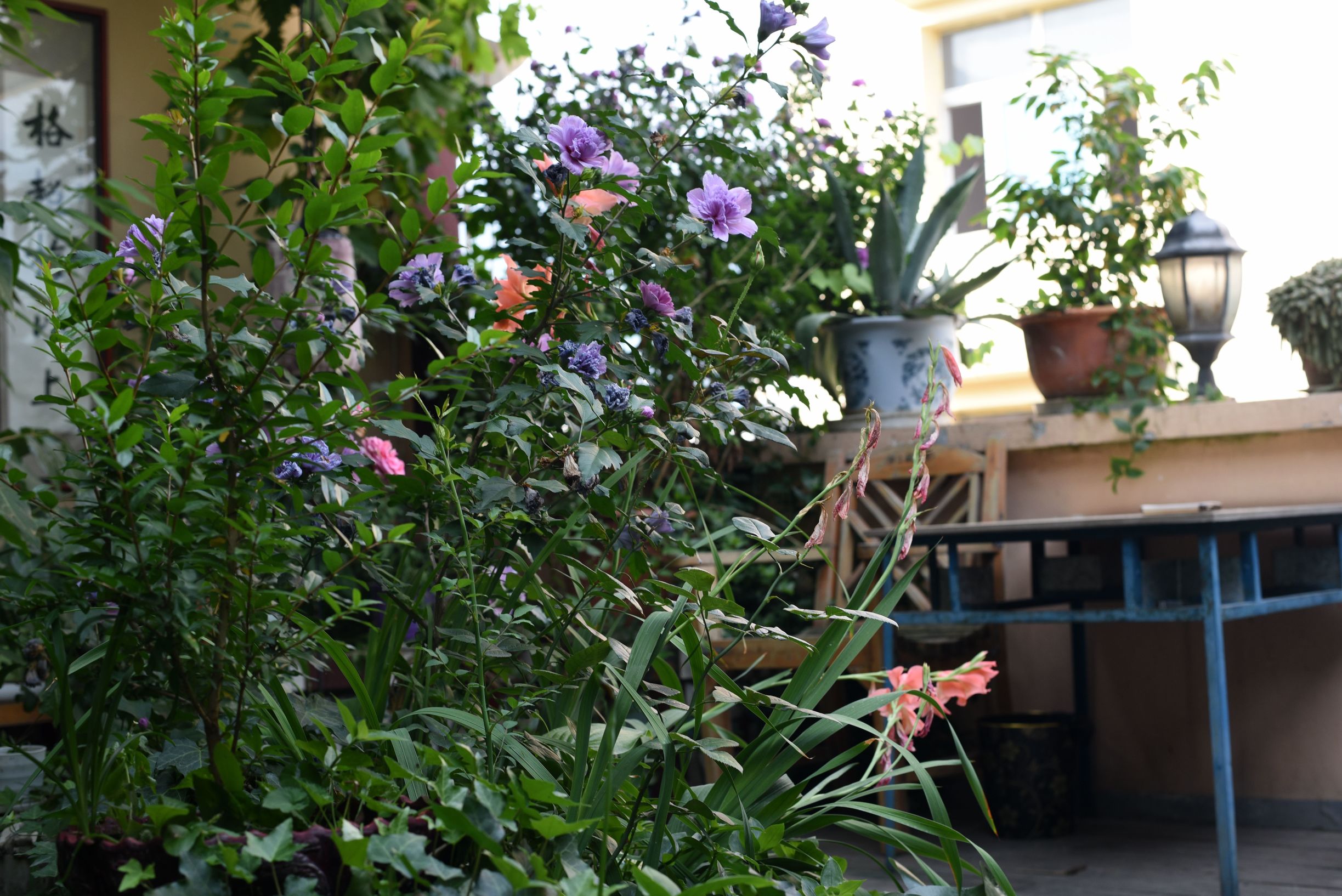 四川阿坝茂县美景,四川茂县简介