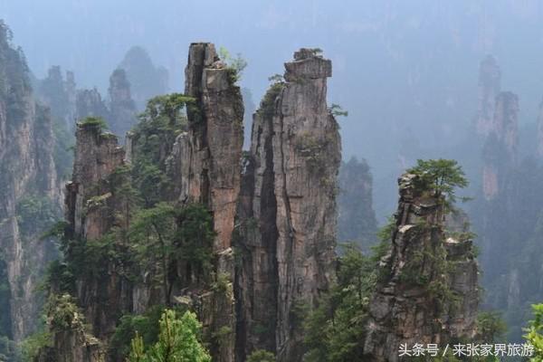 上海到张家界五日游攻略,找一下去张家界天门山的线路
