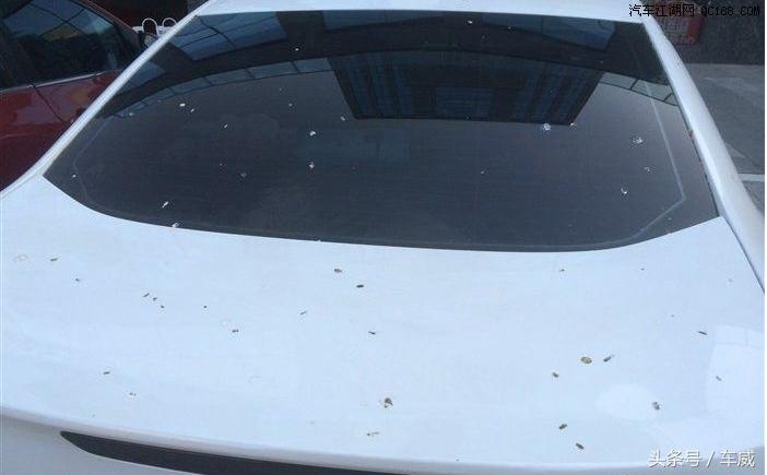 白色的车有什么优缺点,看一下白色车有什么缺点