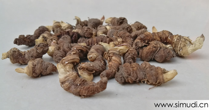 秦岭深山中药材灯台七、七叶一枝花、重楼