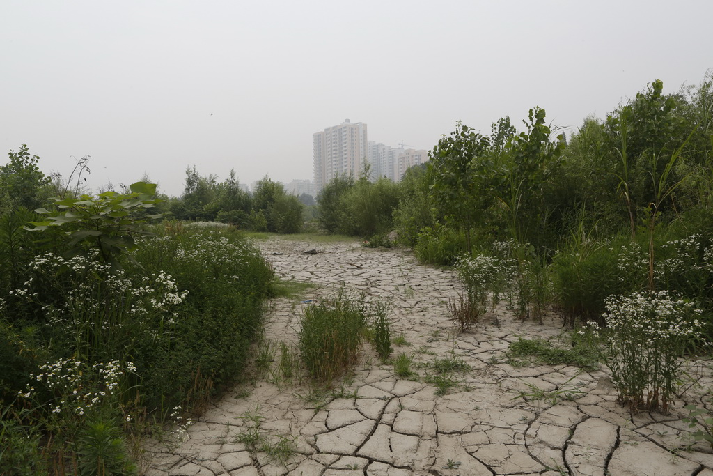 大武汉系列之武汉冶炼厂,大武汉系列之武汉印染厂