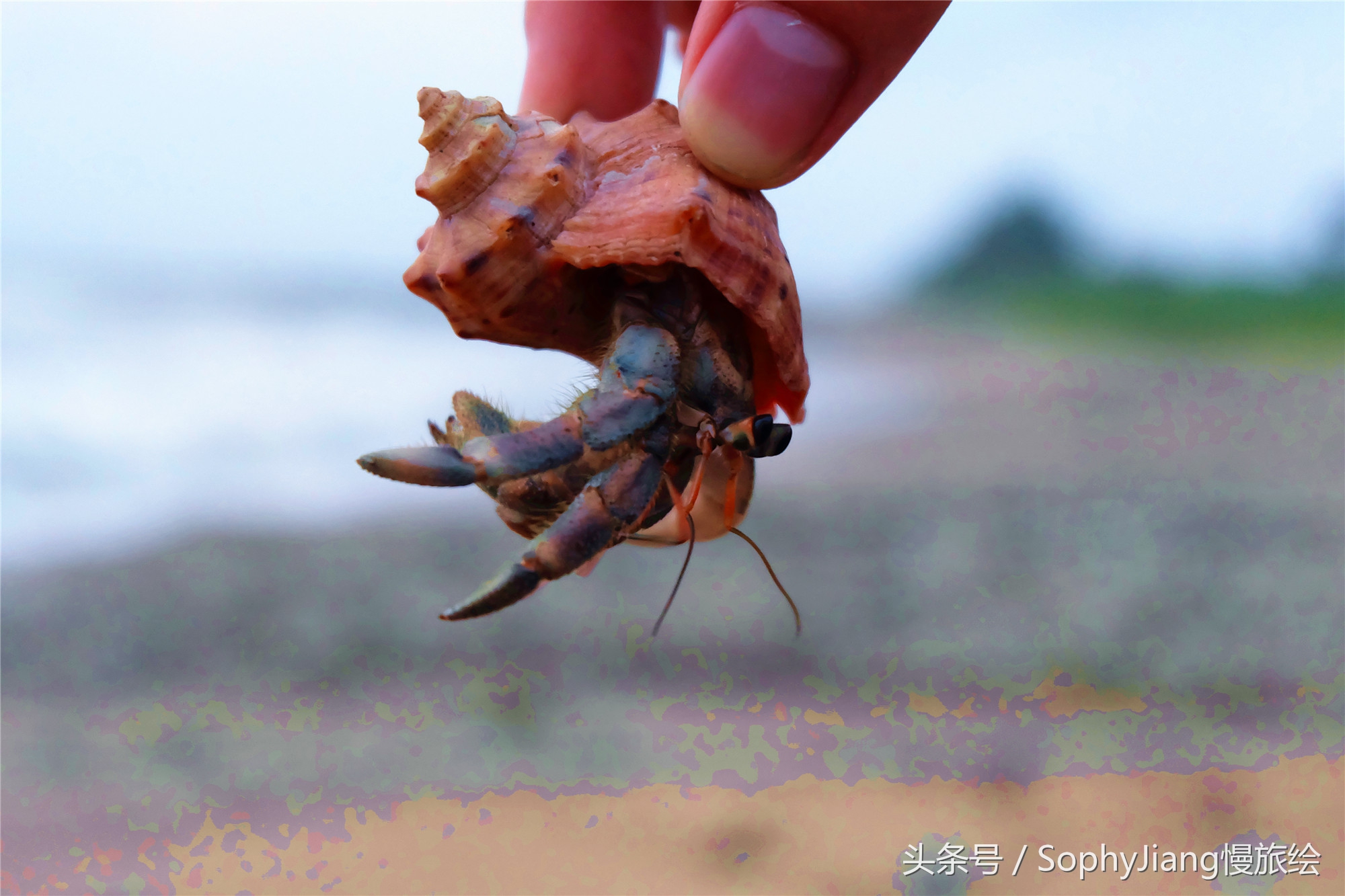 鍨︿竵绾康鍝佹湁鍝簺,鍨︿竵涓婚姘戝