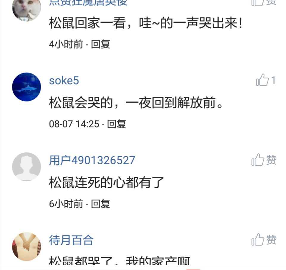 那些搞笑的评论之一松鼠说，那是我娶十房姨太的钱