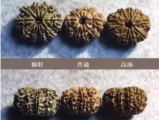 金刚菩提手串怎么分辨好坏,金刚菩提手串怎么辨别好坏