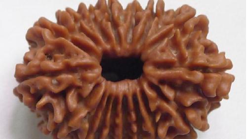 金刚菩提手串怎么分辨好坏,金刚菩提手串怎么辨别好坏