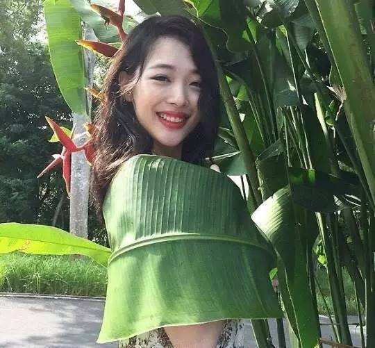 林更新微博被路人秒杀,林更新与凤行单独画风