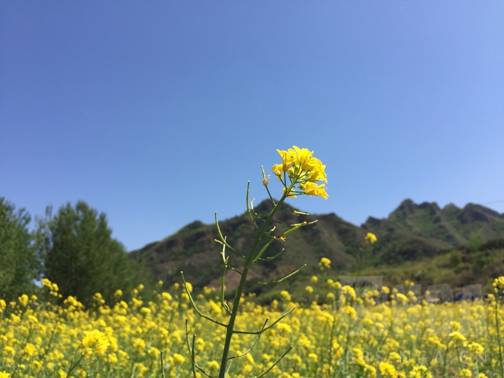 迟到的提车,迟到了提交作业