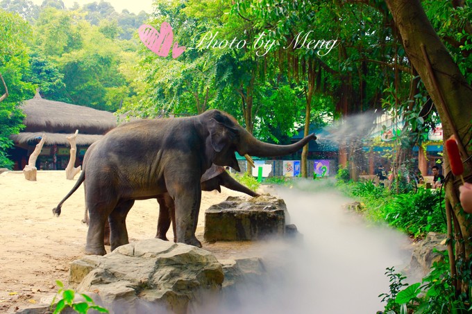 广州长隆水上乐园亲子游攻略视频,珠海长隆海洋快速通道亲子游攻略