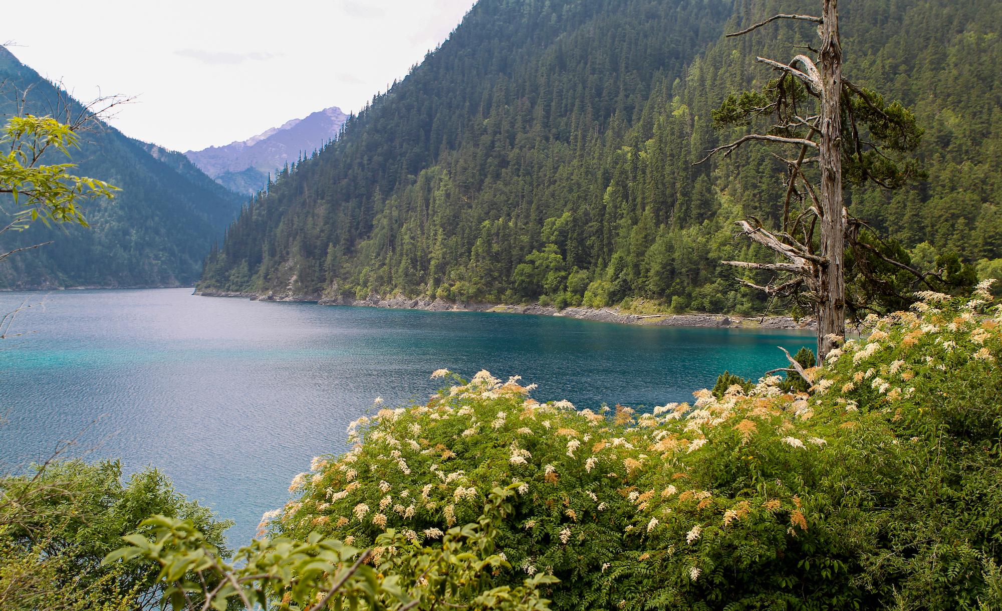 地震前的九寨沟美景,航拍地震前九寨沟所有景点