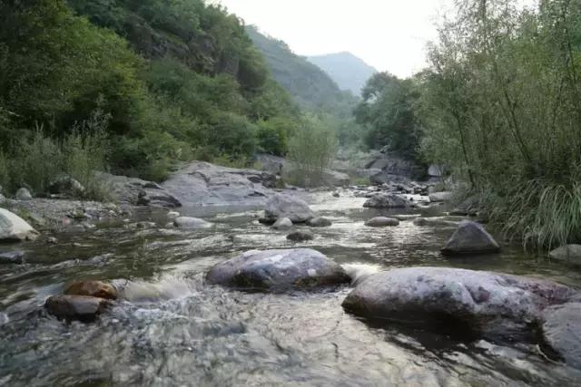 山西历山舜王坪大草原攻略,看云海高山草甸的地方