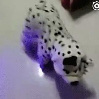 这到底是什么东西啊，好有趣