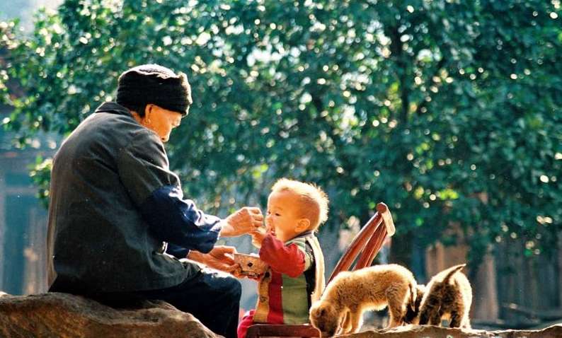 原创：如此孝顺，让我汗颜……