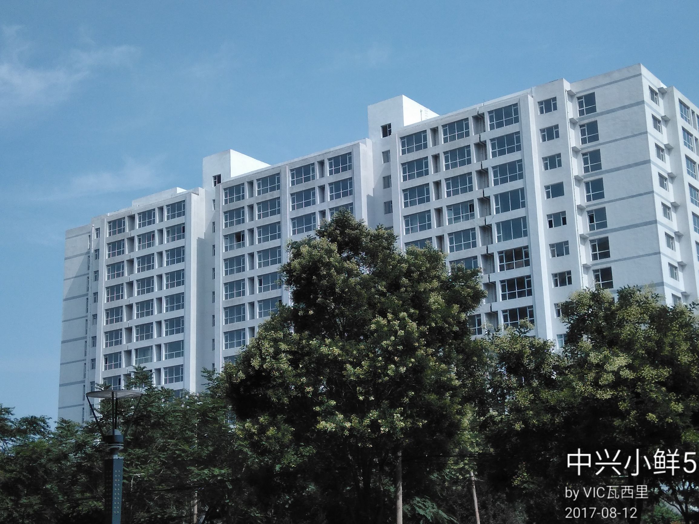 中兴小鲜5支持全网4g,手机除了处理器还有什么