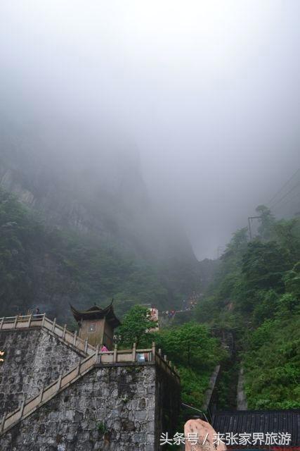 上海到张家界五日游攻略,找一下去张家界天门山的线路