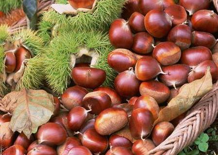 黄花城水长城一日游攻略,黄花峪水长城最佳旅游线路图