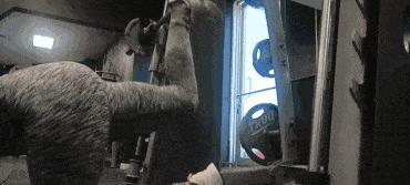 除臀腿外最好的臀部训练动作,臀腿训练拉伸以及臀部练习完整版