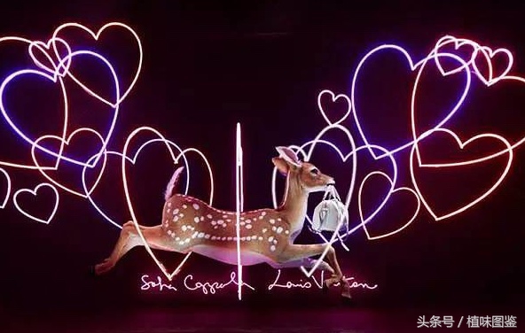 世界顶级奢侈品橱窗,不出家门一分钟尝遍世界咖啡