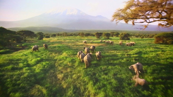 上海迪士尼游玩攻略超详细,最新上海迪士尼游玩攻略视频