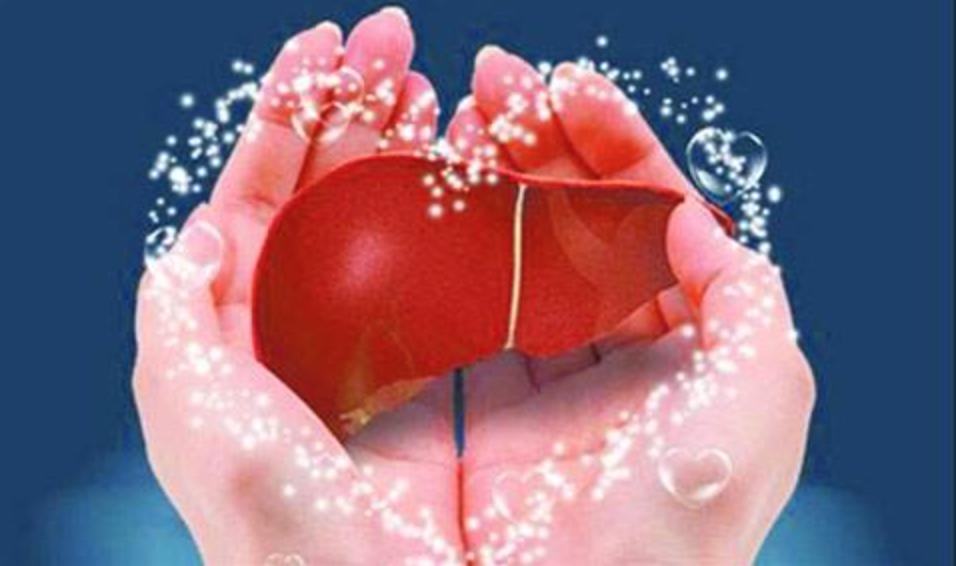 怎样看乙肝两对半化验单的数值,如何看乙肝两对半化验单数值正常