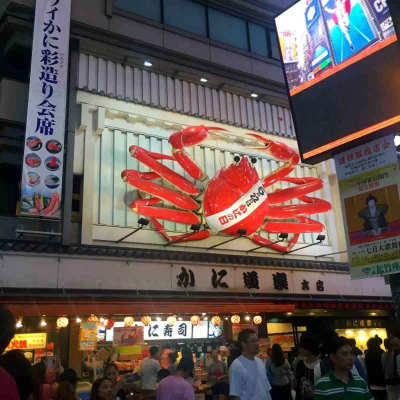 美女穷游10年走120个国家,穷游日本详细攻略