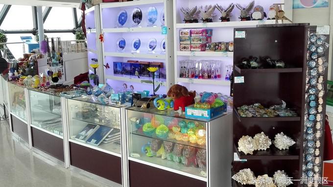 杭州自驾到舟山旅游攻略,杭州湾自驾游一日游