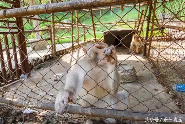 熟悉又陌生的牛鱼嘴，还有新晋“网红桥”，这里有你“秋游”的记