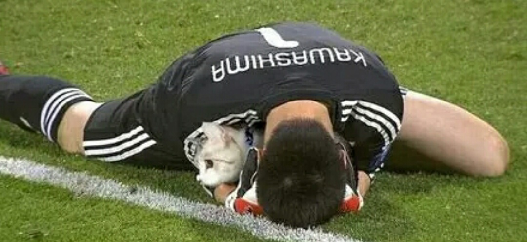 把足球p成猫,网友p的足球搞笑视频