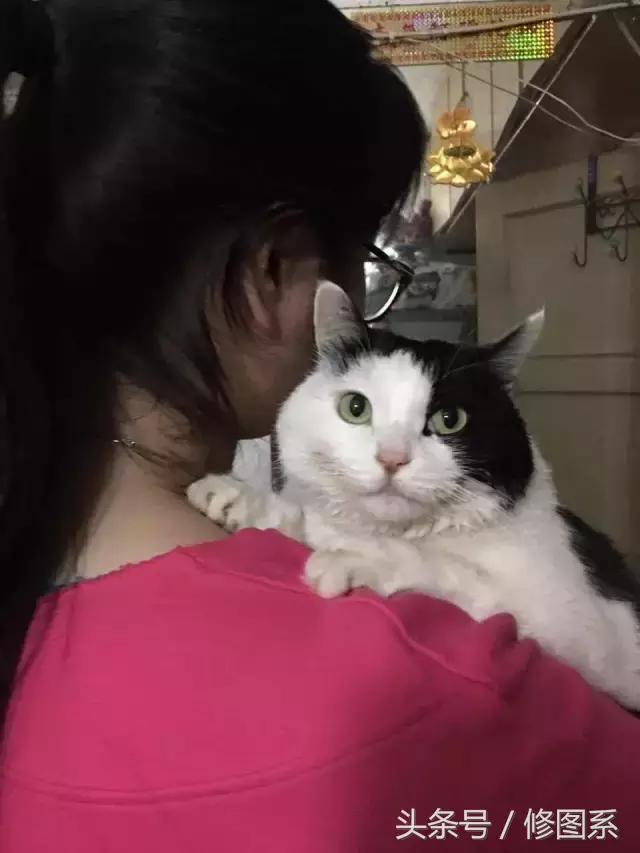 修图师会用哪些修图软件,修图师都用ps么