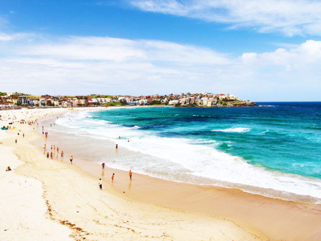 澳大利亚鲍鱼新西兰鲍鱼,澳大利亚顶级鲍鱼