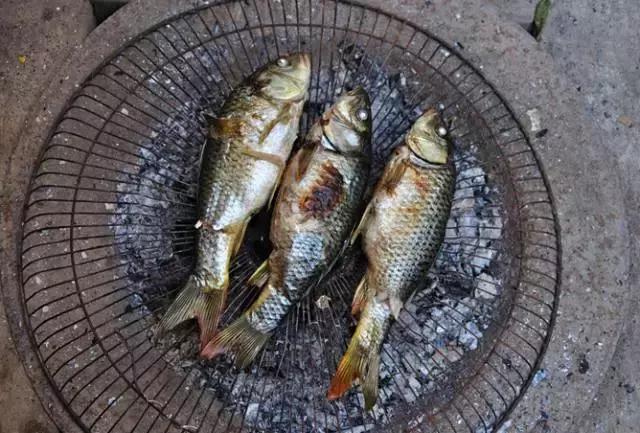 苗族和犹太人,苗族一个神秘且色彩斑斓的民族