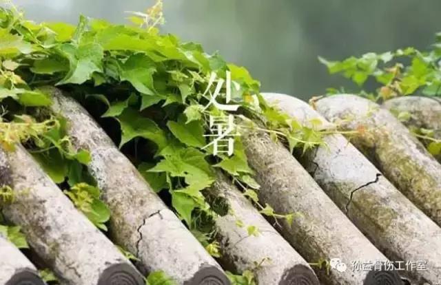 处暑养生食谱营养晚餐,处暑养生有重点润肺防秋燥