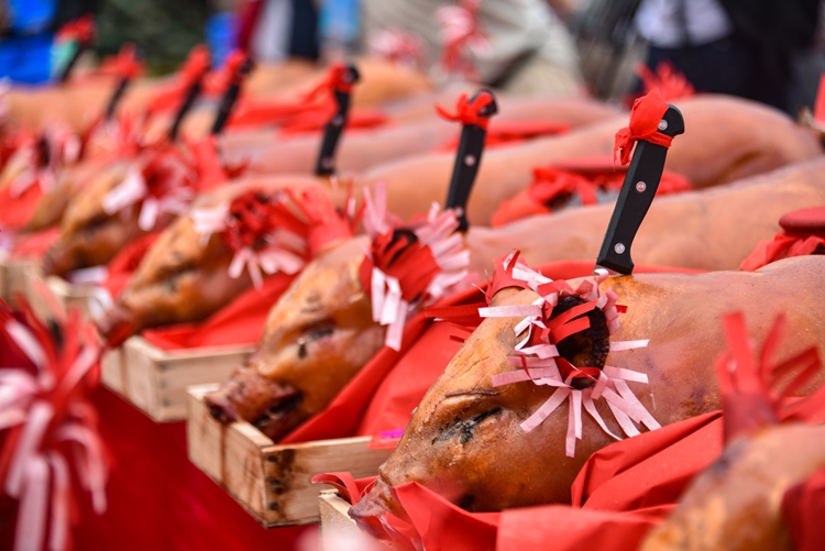 北海开渔仪式2020时间,北海开渔