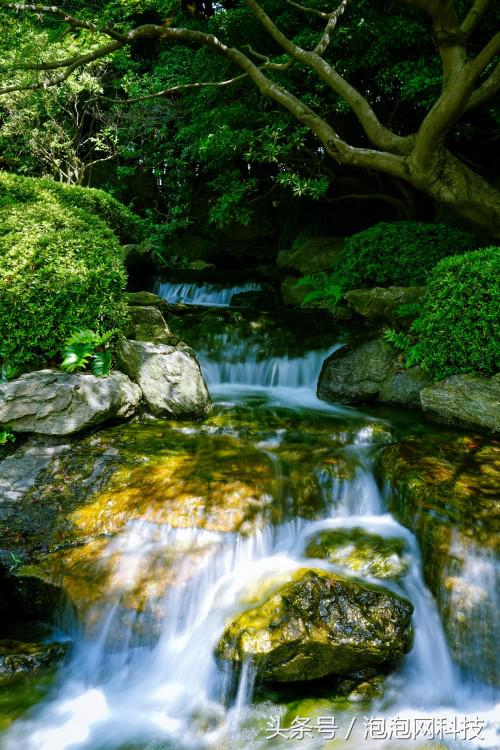 索尼微单a9最新消息,索尼a9新微单