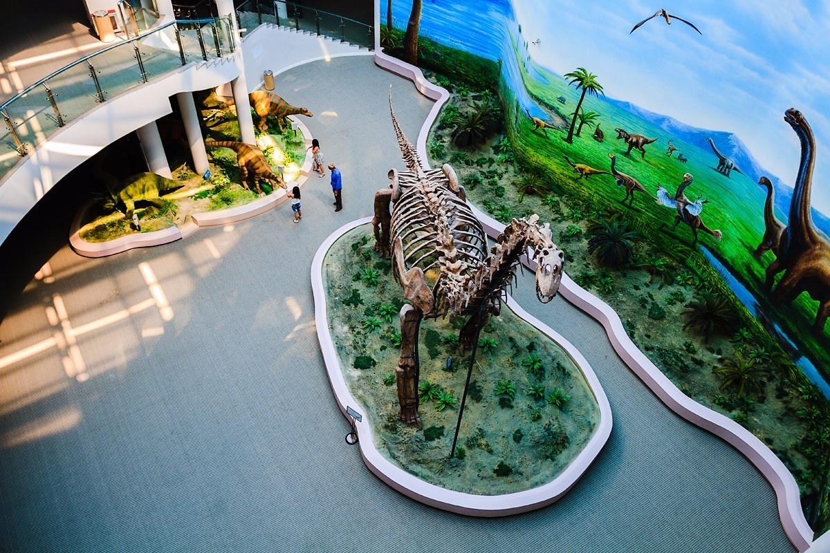 全国唯一的国家级大学博物馆,全国第一家高校博物馆