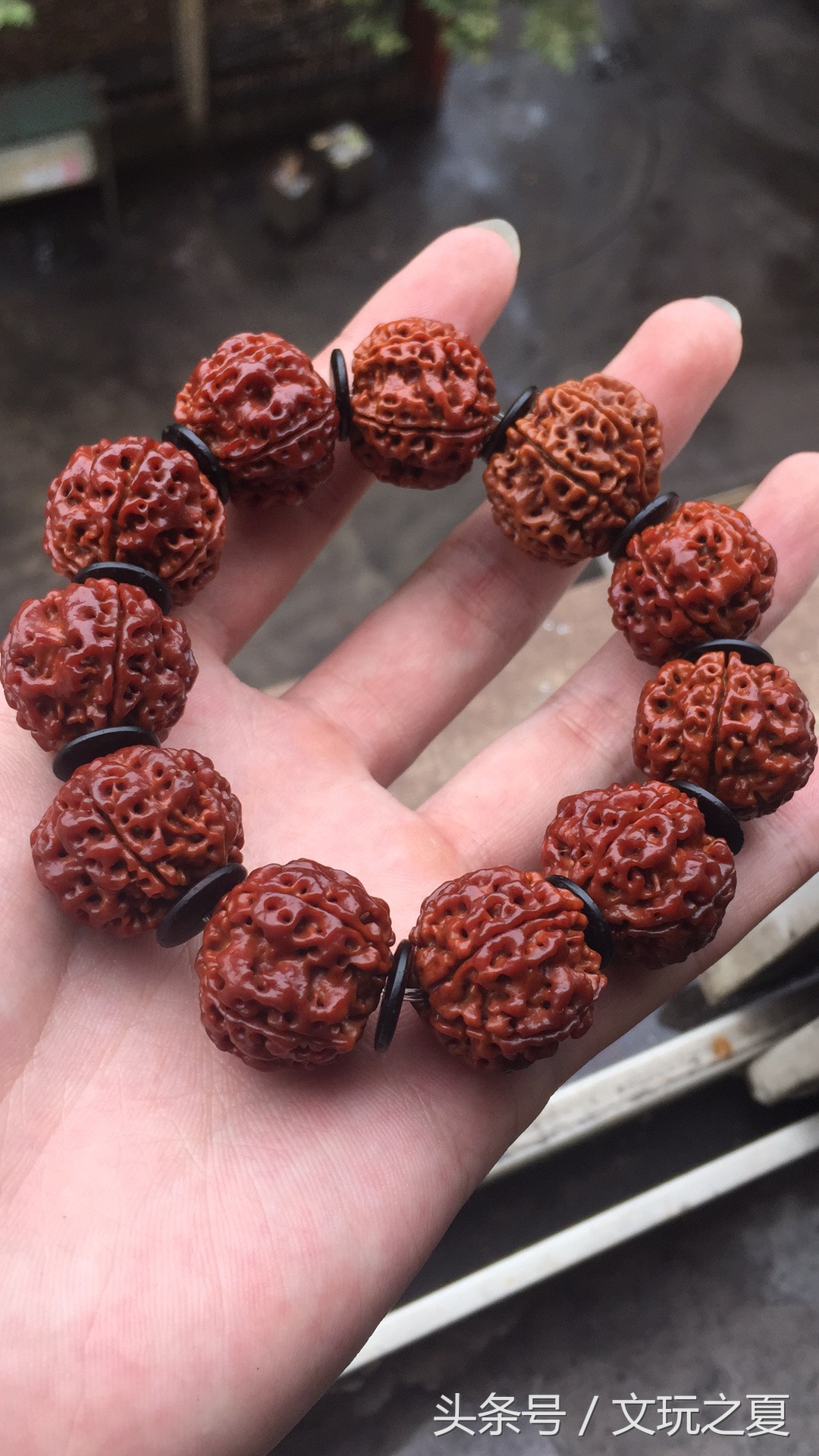 文玩金刚盘玩问题,文玩金刚盘完籽发白什么情况