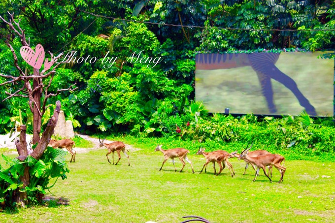 广州长隆水上乐园亲子游攻略视频,珠海长隆海洋快速通道亲子游攻略