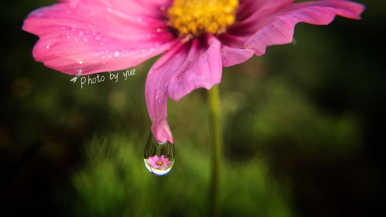怎么给照片弄上自己的签名水印,照片如何添加印章水印
