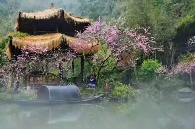 词风雅韵-冯振宇｜十里荷塘菡萏香一河碧水秀波光