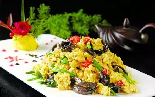 海参补什么营养最好吃,海参食谱大全与功效