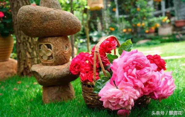 杨丽萍云南丽江太阳宫酒店,杨丽萍太阳宫别墅